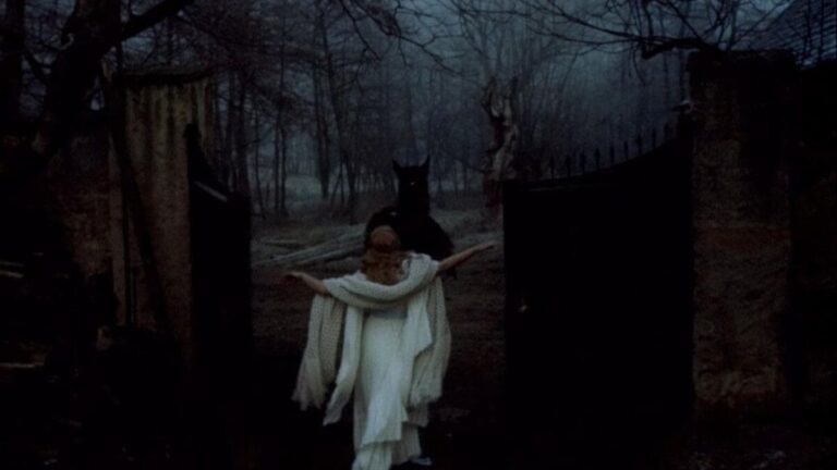 Scene from Beauty and the Beast 1978