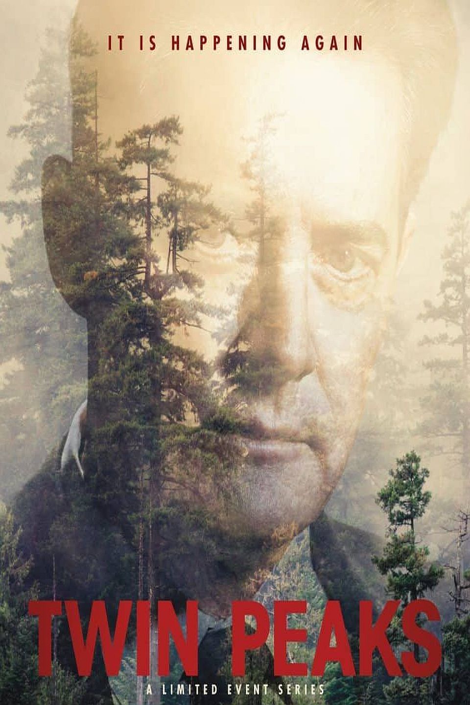 Twin Peaks: The Return (2017) TV Series Poster